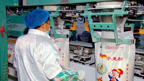 泰州泰兴农产品加工园区 培大育强食品企业，聚力打造‘鲜食之都’与特色酒类产业新高地